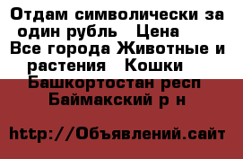 Отдам символически за один рубль › Цена ­ 1 - Все города Животные и растения » Кошки   . Башкортостан респ.,Баймакский р-н